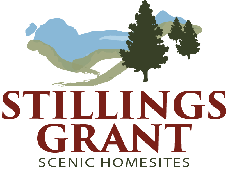 Stillings Grant logo